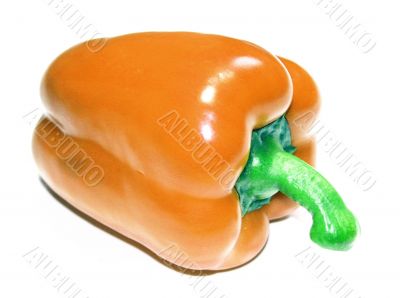 Paprika