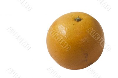 isolated orange
