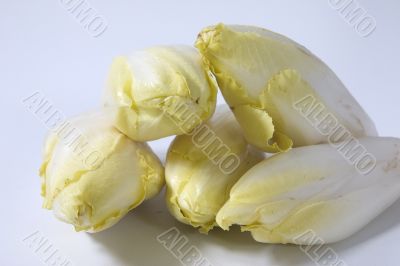group of chicory