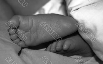 Feets of a baby