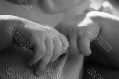 hands