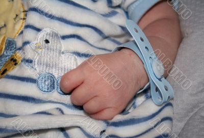 newborn