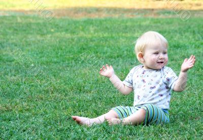 on the meadow
