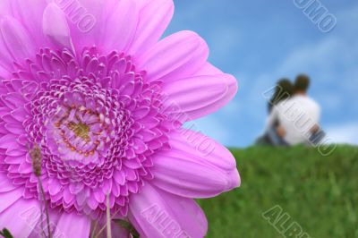 beautiful love - purple flower