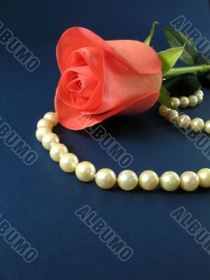 Pink rose and pearls