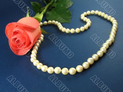 Pink rose and pearls