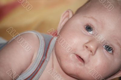 portrait of a child