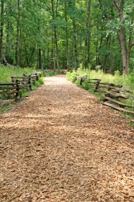 Wood Chip Trail