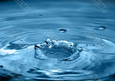 Splash