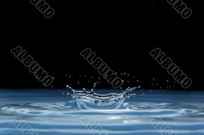 water crown
