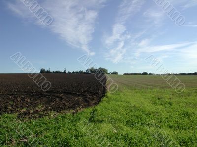 Farmland