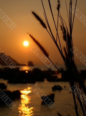 Sunset with sea oats