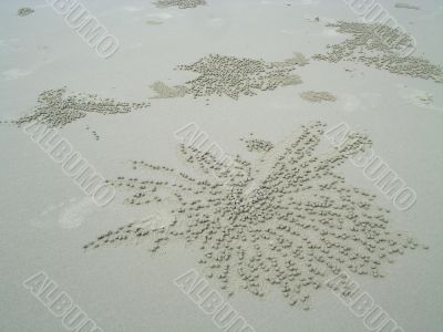 beach pattern