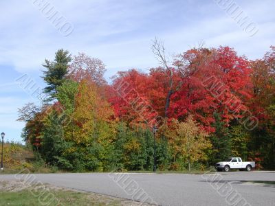 Autumn Colors