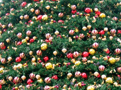 Field of christmas decoration