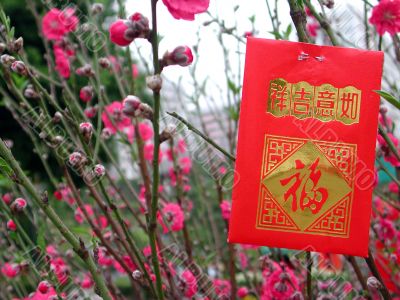 Chinese red bag money