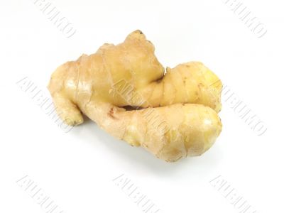 Ginger