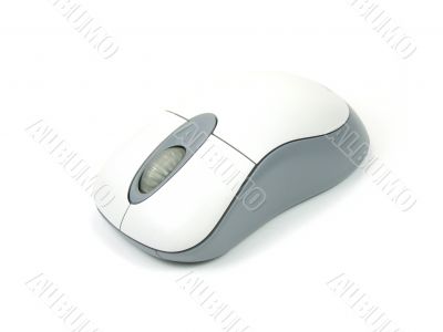 Wireless mouse