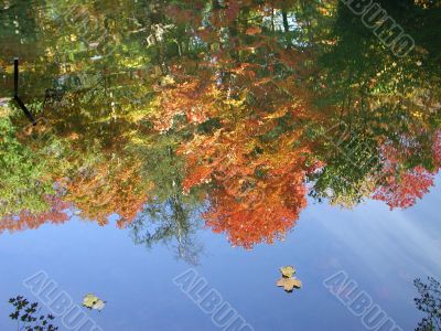 fall colours reflection