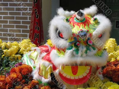 Chinese lion