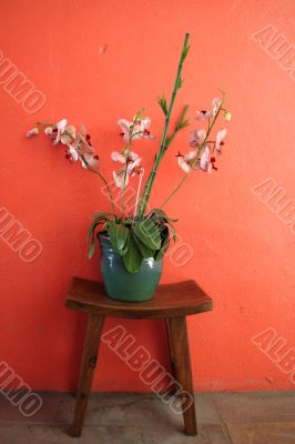 Asian flowers
