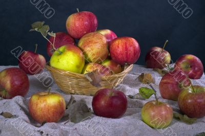 apples