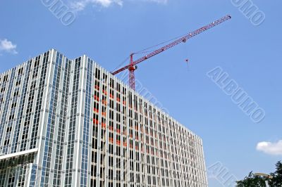 Red Crane and Steel