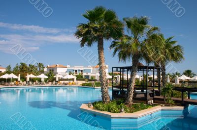 palm tree in pool