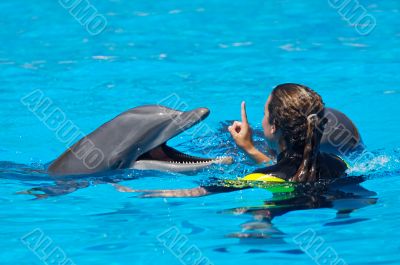 Dolphins