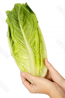 Food heals and low in calorias