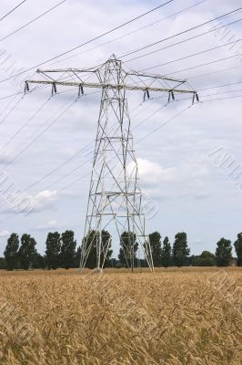 power pylon in wheat