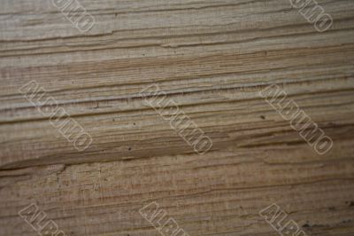 wood background