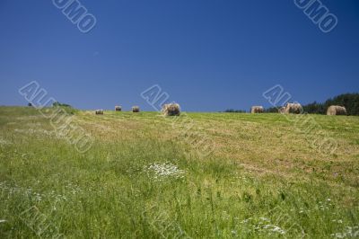 sommer landscape