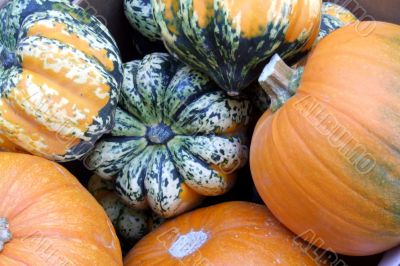 Pumpkins
