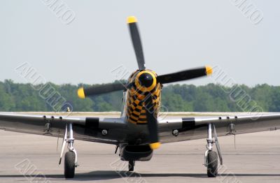 Intimidating Spitfire