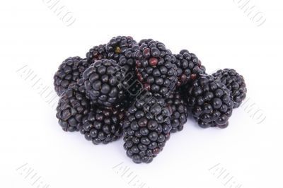 blackberries on white