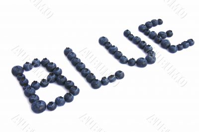 blue berries