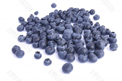 blueberries isolated