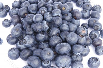blueberries macro