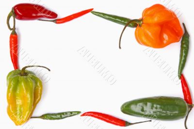 chili border