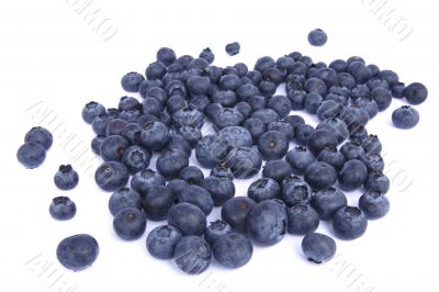 healthy blueberries on white