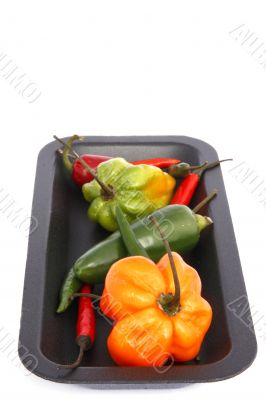 hot chili peppers isolated