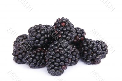 pile of blackberries
