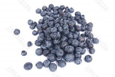 pile of blueberries