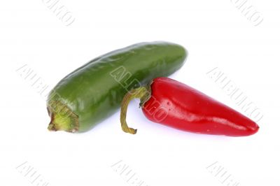 red and green chili isolated