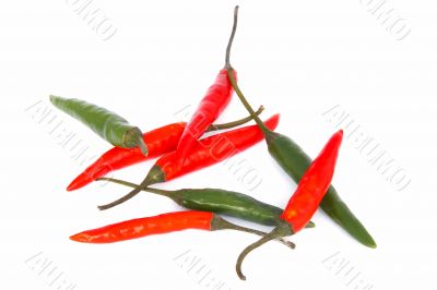 red and green chili