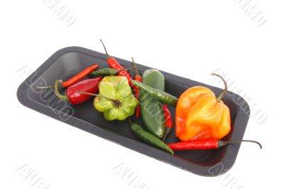 tray of mixed chili peppers