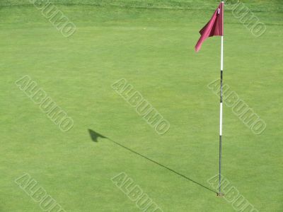 Nice Green