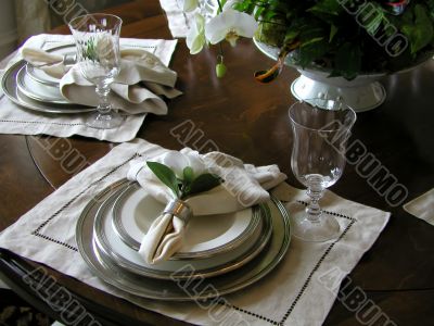 Fine place setting