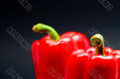 close-up of two red peppers with dark background